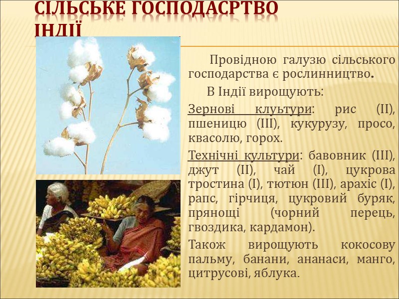 Сільське господасртво Індії       Провідною галузю сільського господарства є